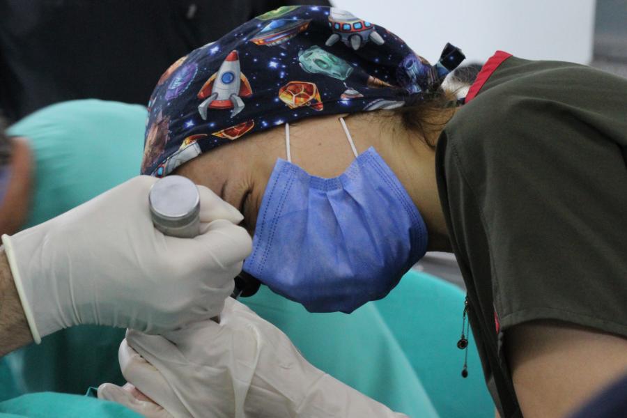 Doç. Dr. H. Bengü Çobanoğlu