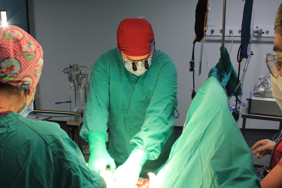 Ahmet Coşkun ÖZDEMİR