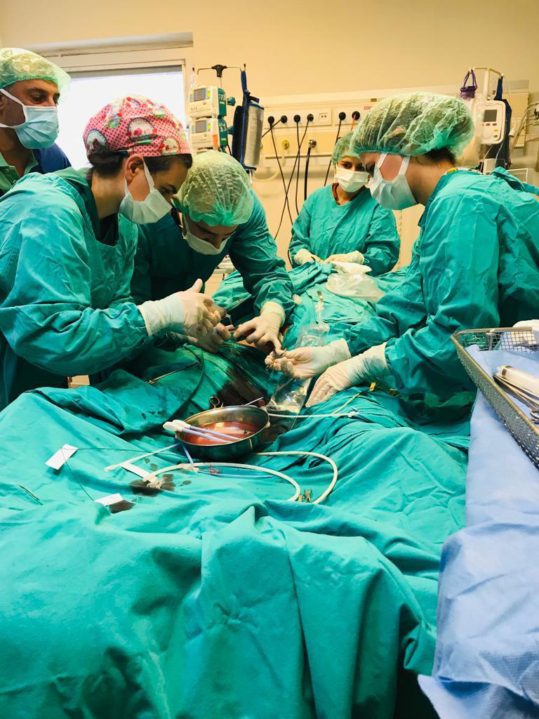 KTÜ Farabi Hastanesi