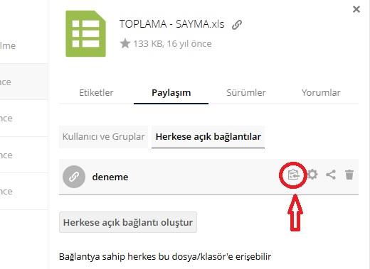 Bağlantı Kopyalama 2