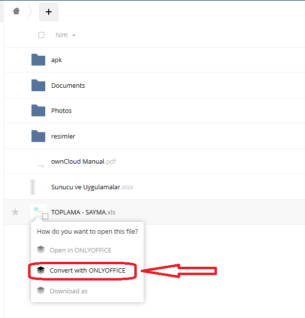 Convert ONLYOFFICE