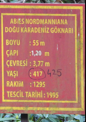 Gümüşhane/Kürtün, Örümcek Ormanı Tabiatı Koruma Alanı Arazi Uygulaması