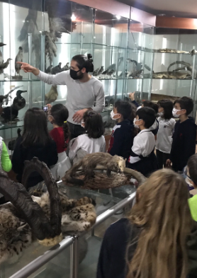 Yaban Hayatı Müzemiz Ziyaretçilerini Ağırlamaya Devam Ediyor 