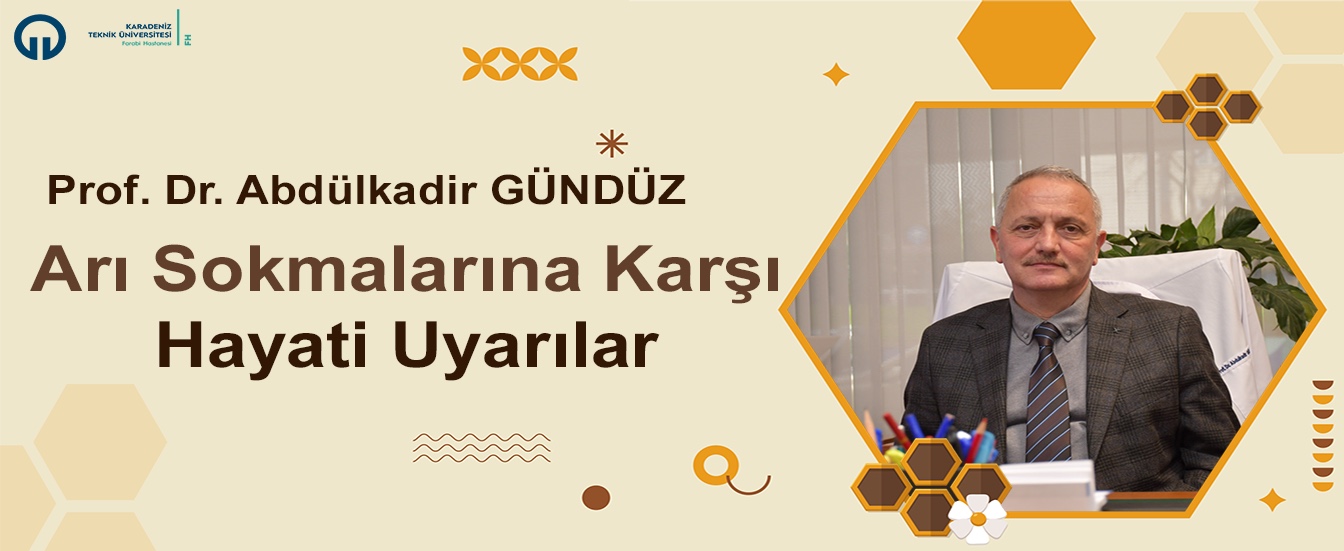Arı Sokmalarına Karşı Hayati Uyarılar