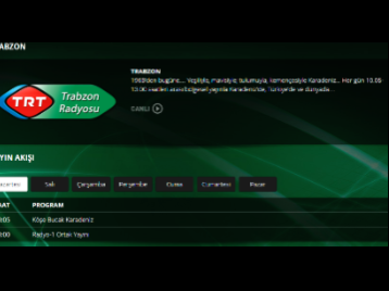 Radyo Programı:  Verileri İzle: Ebelere Yatırım Yap