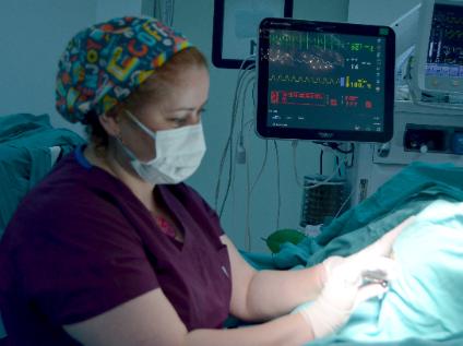 Prematüre ve Yeni Doğan Bebeklerde, Bölgesel Anestezi ile Ameliyat Mümkün